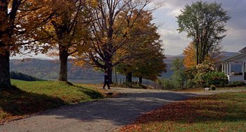 Movie still from “The Trouble with Harry” (1955), directed by Alfred Hitchcock – A person walking down a road near a tree; Extreme Wide shot, High angle