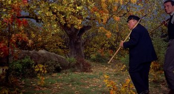 Movie still from “The Trouble with Harry” (1955), directed by Alfred Hitchcock – An old man holding a stick in a field; Wide shot, Low angle