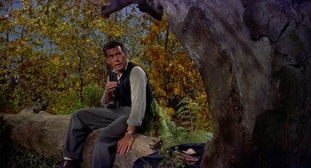 Movie still from “The Trouble with Harry” (1955), directed by Alfred Hitchcock – A man sitting on top of a tree stump; Medium shot, Low angle