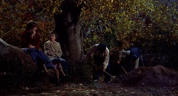 Movie still from “The Trouble with Harry” (1955), directed by Alfred Hitchcock – A group of people in the woods working on a tree; Wide shot, High angle