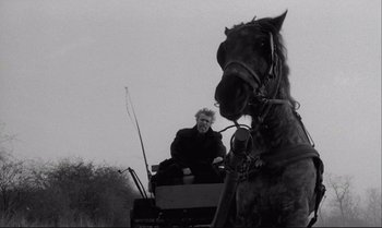 Movie still from “The Turin Horse” (2011), directed by Ágnes Hranitzky – A man riding in the back of a horse drawn carriage; Medium shot, Low angle
