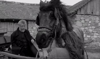 Movie still from “The Turin Horse” (2011), directed by Ágnes Hranitzky – An old man and a horse in a black and white photo; Medium shot, Low angle