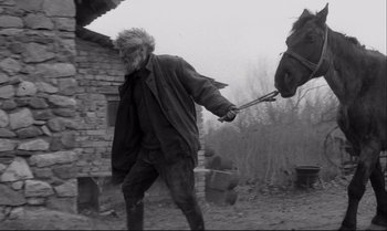 Movie still from “The Turin Horse” (2011), directed by Ágnes Hranitzky – An old man holding the reins of a horse; Medium shot, Low angle