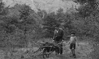 Movie still from “The Two of Us” (1967), directed by Claude Berri – An old photo of a man and a boy in the woods; Wide shot, High angle