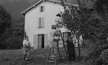 Movie still from “The Two of Us” (1967), directed by Claude Berri – A group of people standing on a ladder near a tree; Wide shot, Low angle