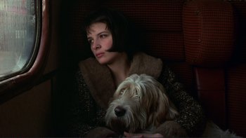 Movie still from “The Unbearable Lightness of Being” (1988), directed by Philip Kaufman – A woman sitting in a chair next to a white dog; Close Up shot, High angle