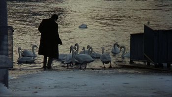Movie still from “The Unbearable Lightness of Being” (1988), directed by Philip Kaufman – A man standing in front of a group of swans; Wide shot, Low angle