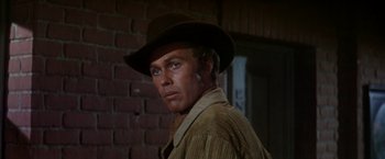 Movie still from “The Unsinkable Molly Brown” (1964), directed by Charles Walters – A person wearing a hat; Close Up shot, Low angle