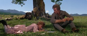 Movie still from “The Unsinkable Molly Brown” (1964), directed by Charles Walters – A man and a little girl laying in the grass; Medium shot, High angle