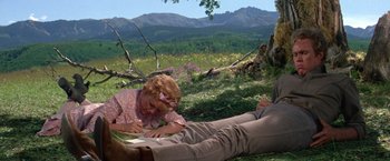 Movie still from “The Unsinkable Molly Brown” (1964), directed by Charles Walters – Two people lying on the grass writing on paper; Wide shot, Low angle