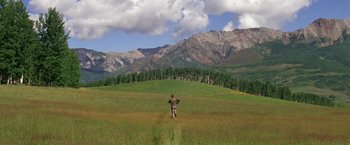 Movie still from “The Unsinkable Molly Brown” (1964), directed by Charles Walters – A man standing in a field with mountains in the background; Extreme Wide shot, High angle