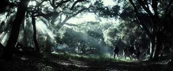 Movie still from “The Veil” (2016), directed by Phil Joanou – A person standing in the middle of a forest; Extreme Wide shot, Low angle