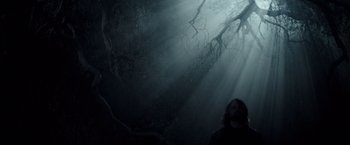 Movie still from “The Veil” (2016), directed by Phil Joanou – A man standing in the middle of a dark forest; Wide shot, Low angle