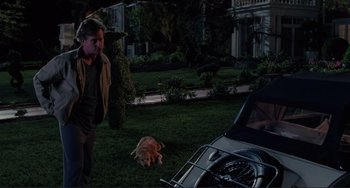 Movie still from “The War of the Roses” (1989), directed by Danny DeVito – A man and a dog in the grass next to a car; Wide shot, High angle