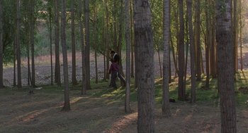 Movie still from “The Wind Will Carry Us” (1999), directed by Abbas Kiarostami – A man is walking through the woods with a baseball bat; Extreme Wide shot, High angle