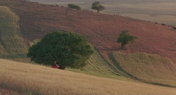 Movie still from “The Wind Will Carry Us” (1999), directed by Abbas Kiarostami – A woman sitting on a hill next to a green tree; Extreme Wide shot, High angle