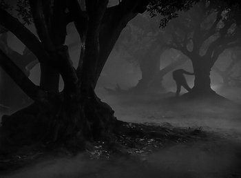 Movie still from “The Wolf Man” (1941), directed by George Waggner – A person walking in the dark forest; Extreme Wide shot, Low angle