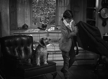Movie still from “The Women” (1939), directed by George Cukor – A woman and a dog are in a room; Wide shot, High angle