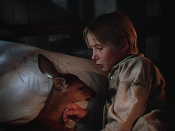Movie still from “The Yearling” (1946), directed by Clarence Brown – A young girl petting a deer in a dark room; Close Up shot, High angle