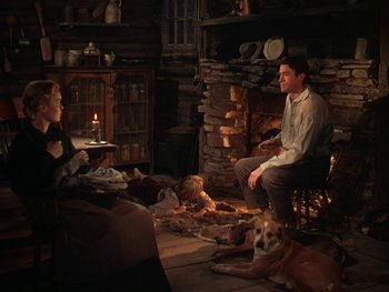 Movie still from “The Yearling” (1946), directed by Clarence Brown – A man and a woman sitting in a living room with two dogs; Wide shot, High angle