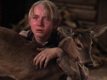 Movie still from “The Yearling” (1946), directed by Clarence Brown – A young boy holding on to an animal; Close Up shot, High angle