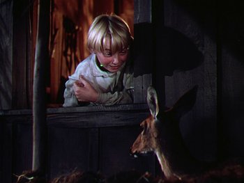 Movie still from “The Yearling” (1946), directed by Clarence Brown – A young boy looking at an animal through a window; Close Up shot, Over the shoulder angle