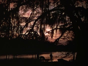 Movie still from “The Yearling” (1946), directed by Clarence Brown – A man standing next to a tree near a body of water; Extreme Wide shot, Low angle