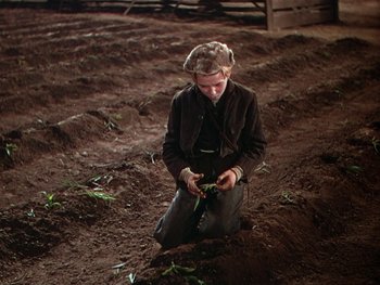 Movie still from “The Yearling” (1946), directed by Clarence Brown – A woman kneeling down in the dirt holding a knife; Medium shot, High angle