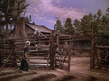 Movie still from “The Yearling” (1946), directed by Clarence Brown – A painting of a woman and a man standing next to a fence in a wooded area; Extreme Wide shot, Low angle