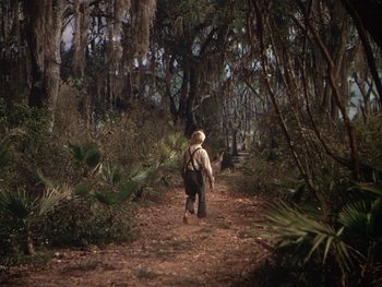 Movie still from “The Yearling” (1946), directed by Clarence Brown – A man walking down a trail in the woods; Extreme Wide shot, High angle
