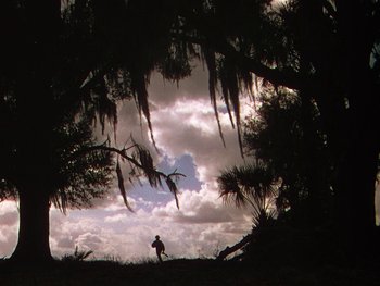 Movie still from “The Yearling” (1946), directed by Clarence Brown – A person is standing in the grass under some trees; Extreme Wide shot, Low angle