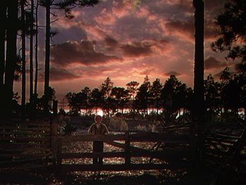 Movie still from “The Yearling” (1946), directed by Clarence Brown – A person standing in front of a wooden fence at sunset; Extreme Wide shot, Low angle
