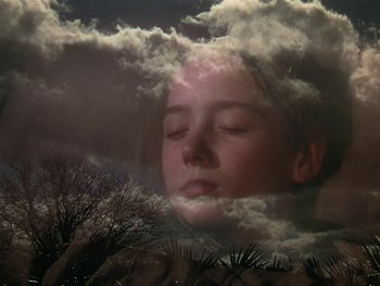 Movie still from “The Yearling” (1946), directed by Clarence Brown – A woman with her eyes closed and a tree in the background; Close Up shot, High angle