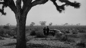 Movie still from “Them!” (1954), directed by Gordon Douglas – Two men standing next to an old car in the desert; Extreme Wide shot, Low angle