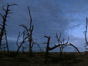 Movie still from “Threads” (1984), directed by Mick Jackson – A group of dead trees in the middle of the night; Extreme Wide shot, Low angle