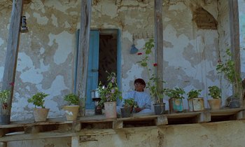 Movie still from “Through the Olive Trees” (1994), directed by Abbas Kiarostami – A man sitting on a window ledge with potted plants; Wide shot, Low angle