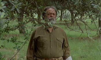 Movie still from “Through the Olive Trees” (1994), directed by Abbas Kiarostami – An older man with a beard is standing under a tree; Medium shot, Low angle