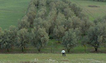 Movie still from “Through the Olive Trees” (1994), directed by Abbas Kiarostami – A man standing in a field with a bunch of trees; Extreme Wide shot, High angle
