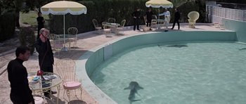 Movie still from “Thunderball” (1965), directed by Terence Young – A dolphin swimming in a pool of water with people standing around it; Extreme Wide shot, High angle