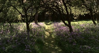 Movie still from “Tommy” (1975), directed by Ken Russell – A path in the middle of a field of purple flowers; Extreme Wide shot, High angle