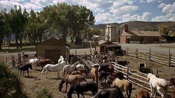Movie still from “True Grit” (1969), directed by Henry Hathaway – A group of horses in a fenced in area; Extreme Wide shot, High angle