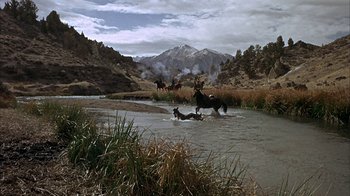 Movie still from “True Grit” (1969), directed by Henry Hathaway – A herd of horses running across a river; Extreme Wide shot, High angle