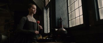 Movie still from “Tulip Fever” (2017), directed by Justin Chadwick – A young woman holding a red flower in a room; Medium shot, Low angle