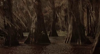 Movie still from “Universal Soldier: The Return” (1999), directed by Mic Rodgers – A group of trees that are standing in the water; Extreme Wide shot, High angle
