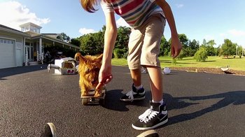 Movie still from “V/H/S/2” (2013), directed by Timo Tjahjanto – A person with a dog on a skate board; Wide shot, Low angle