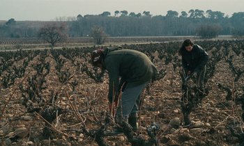 Movie still from “Vagabond” (1985), directed by Agnès Varda – Two people in a field working in a vineyard; Wide shot, High angle