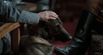 Movie still from “Valkyrie” (2008), directed by Bryan Singer – A person petting a german shephard's head with his hand; Close Up shot, High angle