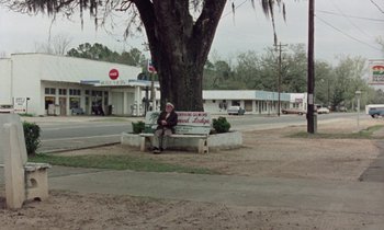 Movie still from “Vernon, Florida” (1981), directed by Errol Morris – An older man sitting on a bench under a tree; Extreme Wide shot, High angle
