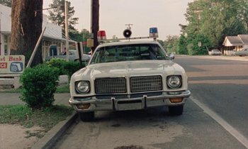 Movie still from “Vernon, Florida” (1981), directed by Errol Morris – An old police car parked on the side of the road; Wide shot, Low angle
