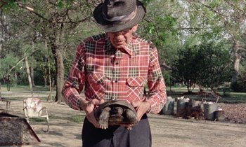 Movie still from “Vernon, Florida” (1981), directed by Errol Morris – An old man wearing a cowboy hat holding a hat; Medium shot, Low angle